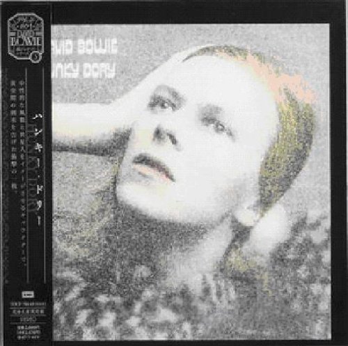 DAVID BOWIE - Hunky Dory - CD - Limited Edition - **Mint Condition** | eBay