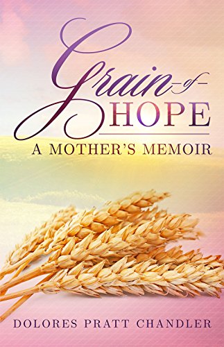 Pratt portfolio requirements image