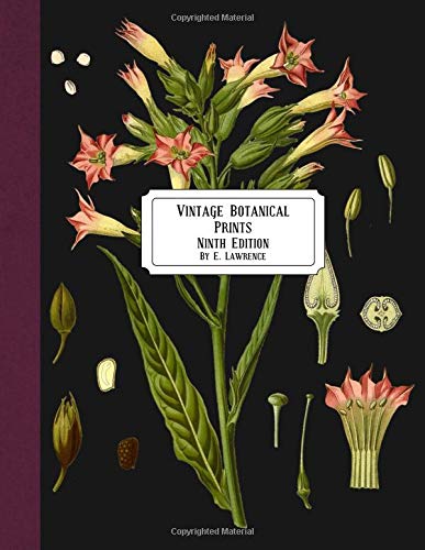 VINTAGE BOTANICAL PRINTS: NINTH EDITION By E. Lawrence **BRAND NEW** | eBay
