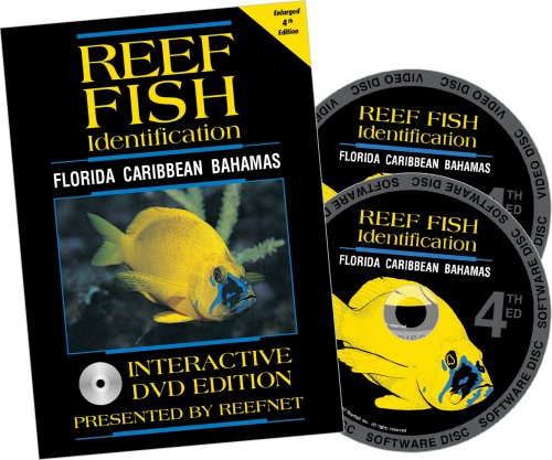 Reef Fish Identification Florida Caribbean Bahamas